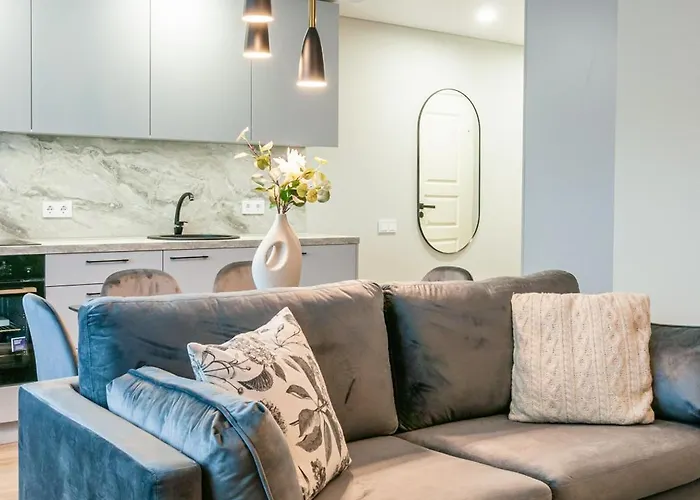 Appartement New 2 Flat In Good Location Dzuku Vilnius