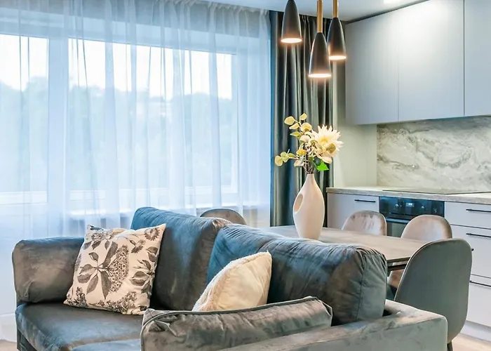 New 2 Flat In Good Location Dzuku * Vilna