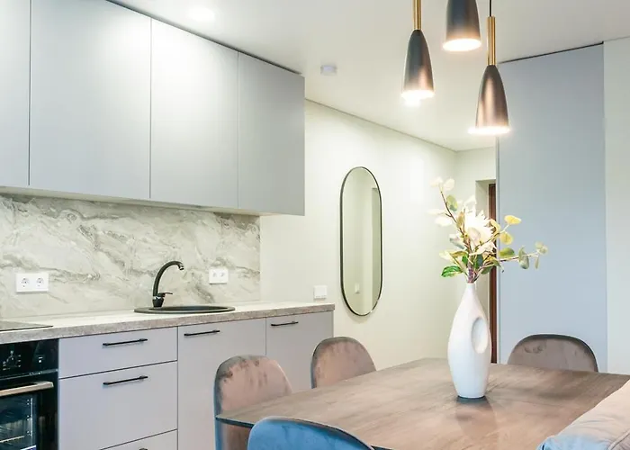 New 2 Flat In Good Location Dzuku Apartman Vilnius