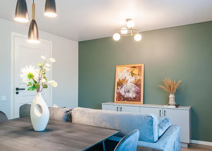 New 2 Flat In Good Location Dzuku * Vilnius